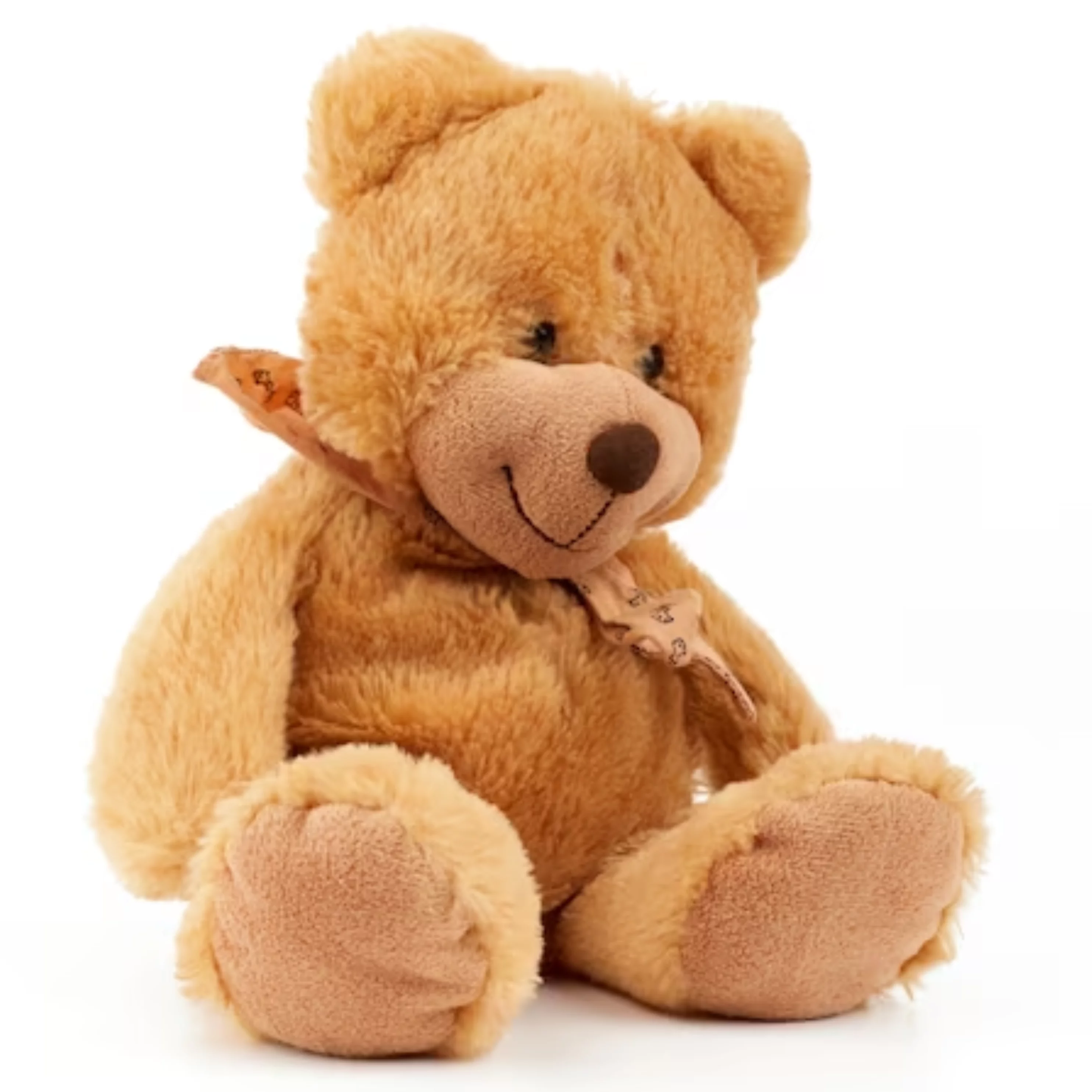 Cute Teddy Bear