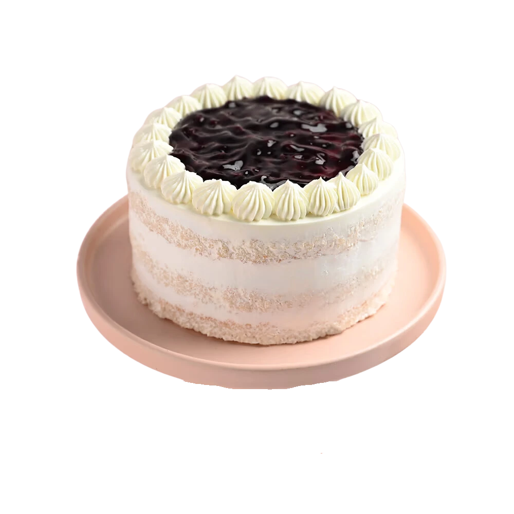 Delicious Blueberry Cake