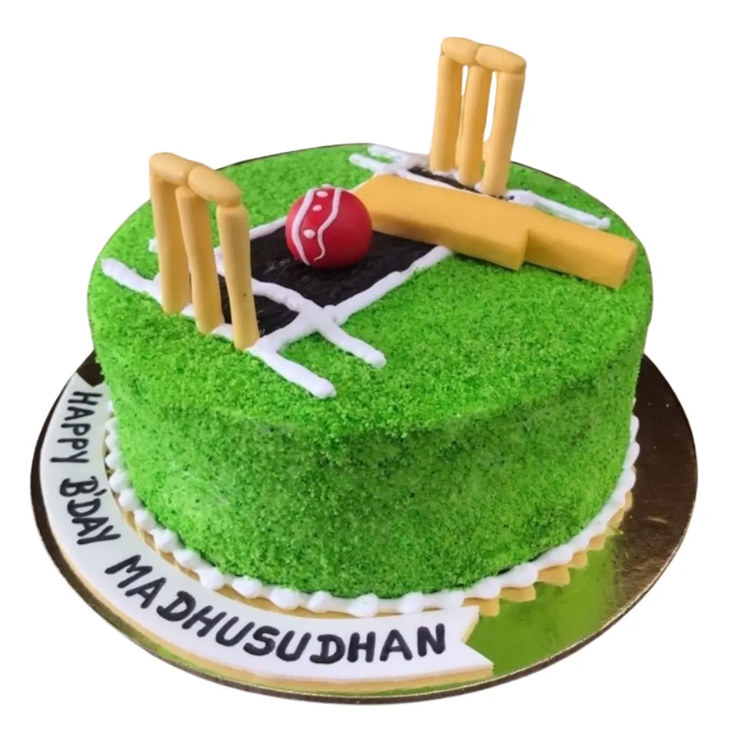 Cricket Pitch Theme Cake