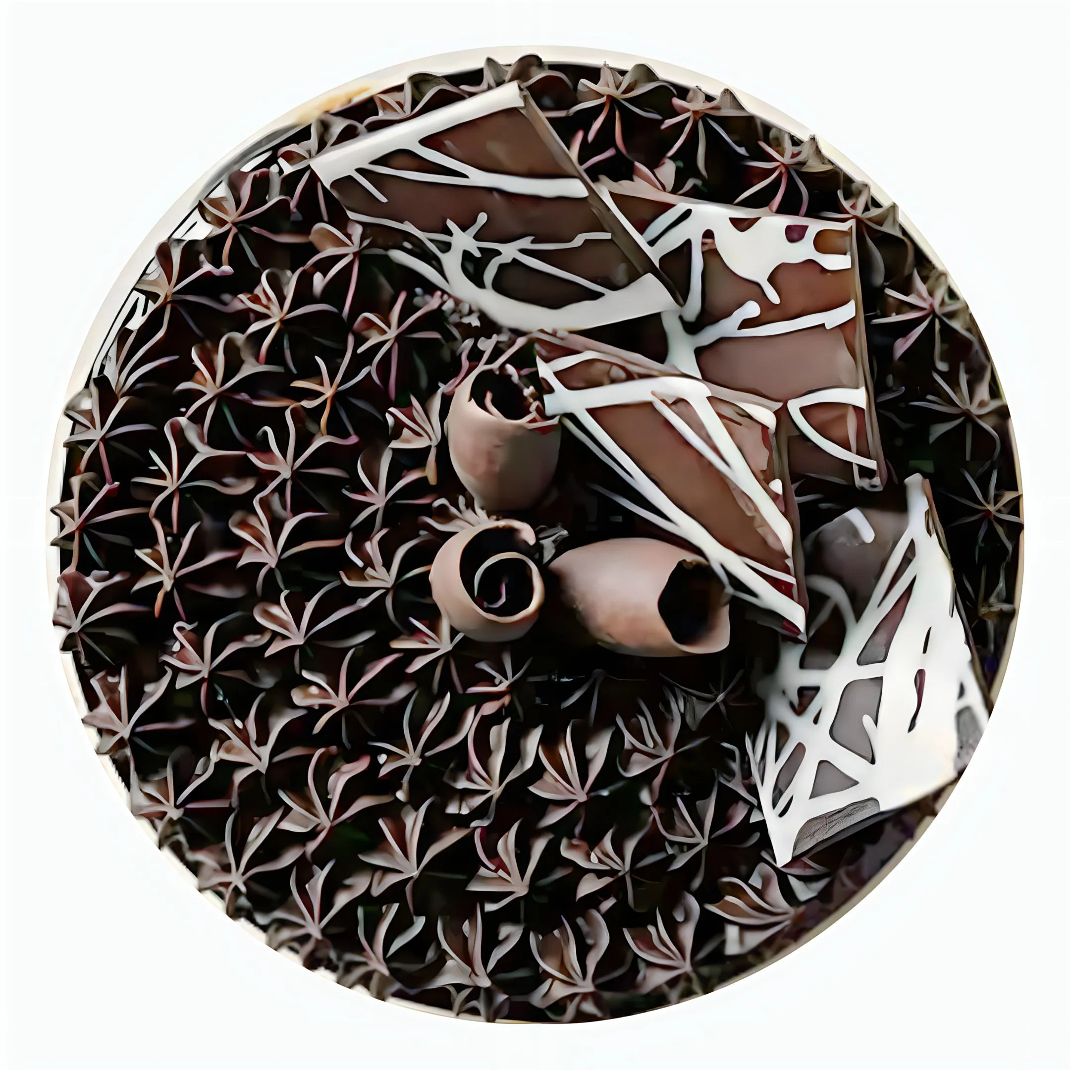 Eggless Fudge Brownie Cake