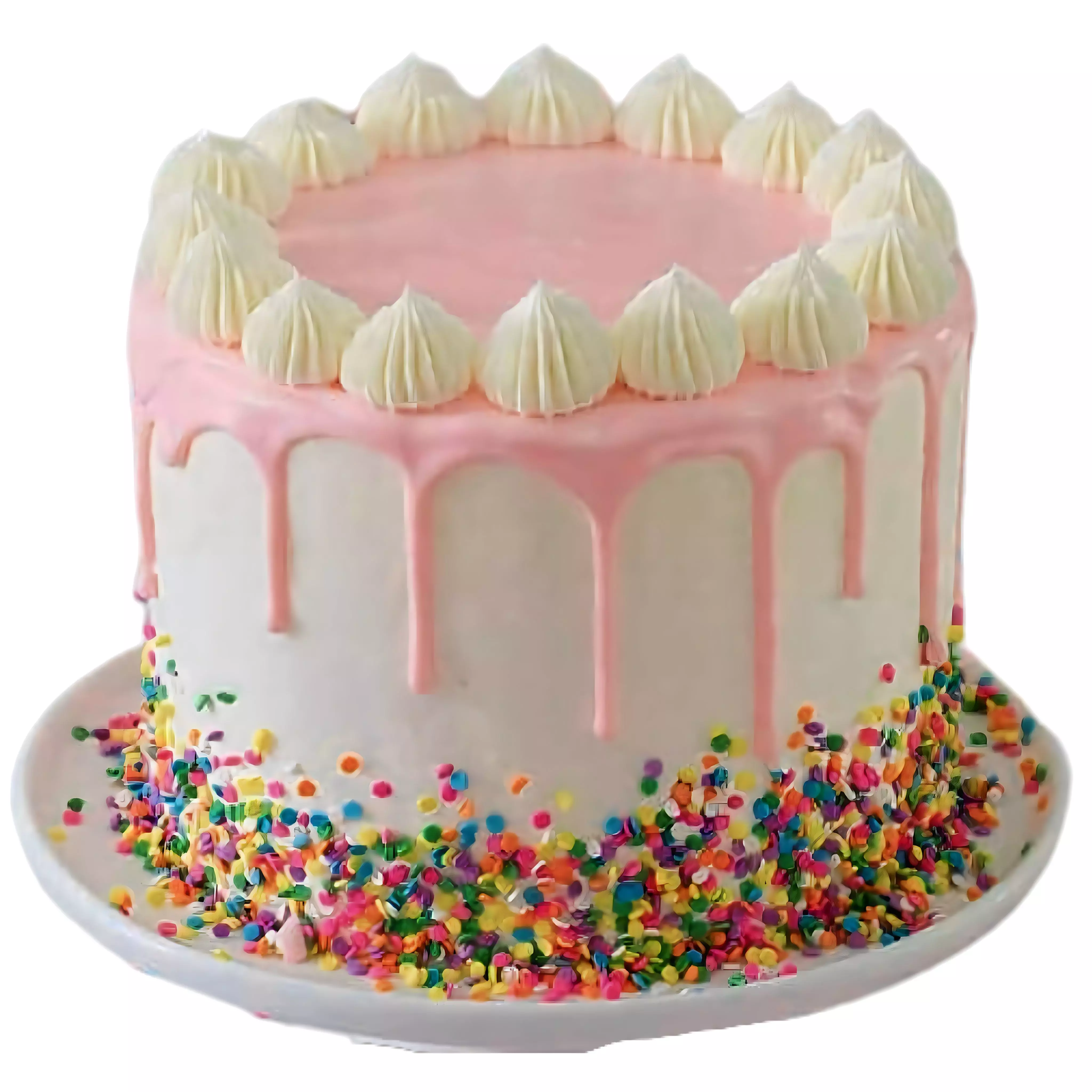 Special Delicious Vanilla Cake